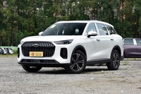 2026款瑞虎9X 2.0T 自动两驱豪华型