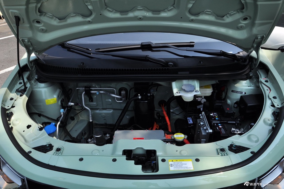 2023款花仙子 周年款 301km 白玉兰 45kW