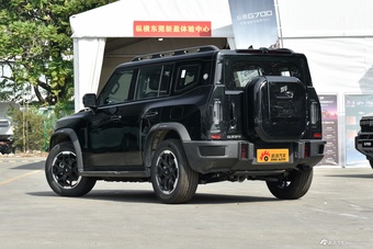 2026款旅行者C-DM 129km 发现