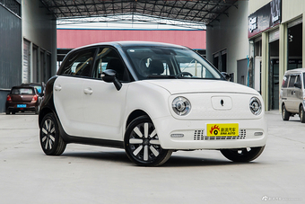 2019款欧拉r1 351km女神版