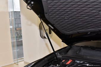 2024款添越 4.0T V8 雅度版