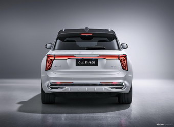 2020款红旗E-HS9 基本型