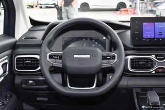 2025款雷达金刚 430km 两驱长厢 招财金刚