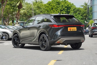 2026款雷克萨斯RX 300 四驱Black Edition