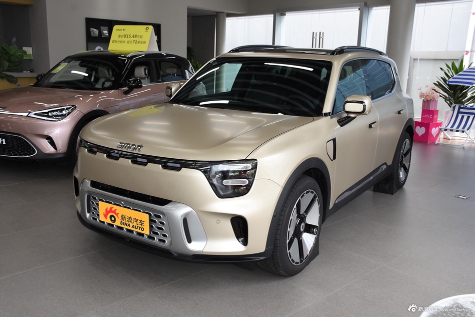 2024款smart精灵5号 后驱