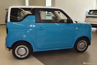 2025款睿蓝蓝气球 标准版