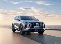 2026款瑞虎9 高配版 官图