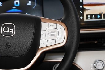 2025款QQ多米305km 舒享型