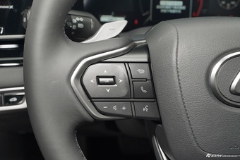 2026款雷克萨斯RX 300 四驱Black Edition