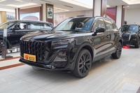 2026款红旗HS5 2.0T 两驱玄影版