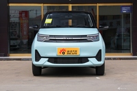 2021款雷丁芒果 乐芒悦动版