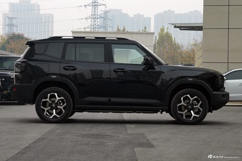 2025款山海T1 147km 四驱发现