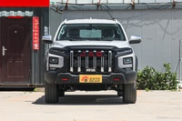 2023款悍途 2.0T 自动柴油两驱精英型大双