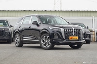 2025款红旗HS3 PHEV 125km 劲为 200万辆纪念版