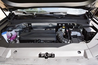 2024款瑞虎8 L 2.0T 两驱豪华版 7座图片