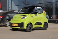 2021款五菱NANOEV 迪士尼疯狂动物城NICK限定款