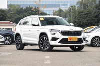 2024款柯迪亚克 TSI380 7座四驱旗舰版