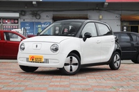 2022款欧拉黑猫301km 基础型