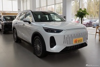 2025款风云T9 120 长续航版旗舰型 5座 磷酸铁锂