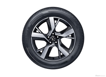 2026款启辰大V DD-i 虎鲸 150km 遨游版 官图