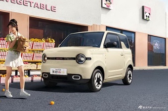 2025款熊猫mini 210km 元气熊 官图