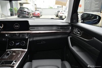 2021款揽月 1.6T自动290T星享版 