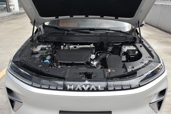 2025款枭龙MAX Hi4 110 Plus 智驾版图片