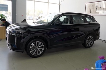 2025款风云T9 120 长续航版尊荣型 5座