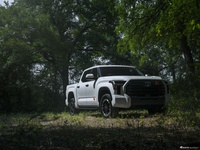 2025款坦途TRD Rally 官图