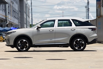 2025款枭龙MAX Hi4 110 Air