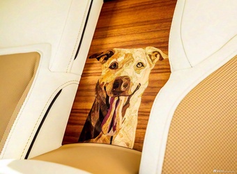 2025款闪灵 贝利