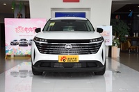 2024款探陆 两驱智享版 6座