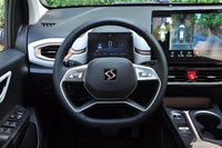 2023款花仙子 周年款 301km 白玉兰 45kW