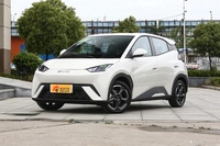 2023款海鸥 自由版