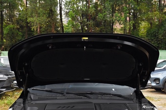 2025款瑞虎8 PRO 290T 两驱尊贵版