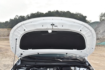 2026款雷凌L 汽油版 2.0L 豪华版