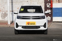 2022款雷丁芒果 200标准版