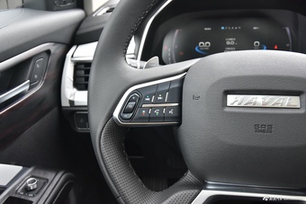 2025款哈弗H6 1.5T 国潮冠军版