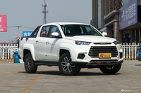 2020款域虎9 2.0T手动柴油四驱尊享型