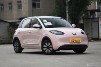 2024款五菱缤果333KM 悦享款