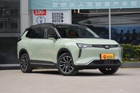 2021款威马W6 520km PRO全能版 