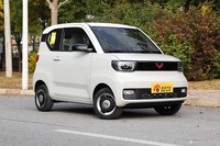 2021款宏光MINIEV 马卡龙臻享款 磷酸铁锂