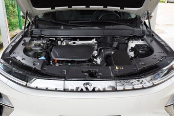 2025款枭龙MAX  Hi4 110 Air图片