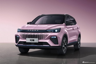 2022款荣威龙猫 官图