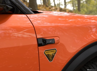 2025款福特烈马 纯电动 官图