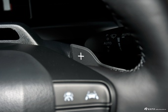 2025款威尔法 皇冠 双擎 2.5L 墨金版