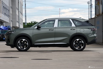 2025款枭龙MAX Hi4 110 Pro