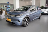 2025款海豚 智驾版 410km 时尚版