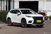 2019款星途TX 1.6T 自动四驱铂金版