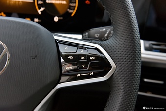 2026款揽巡 380TSI 四驱R-Line巡游 众享款